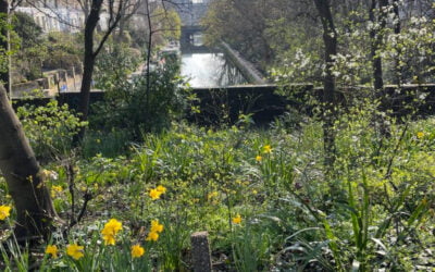 The greening of Islington